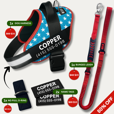 No Pull Walking Bundle - USA